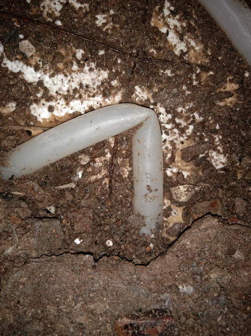 丹凤堵点精准查找