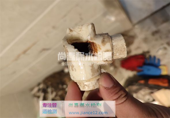 丹凤引起漏水的原因有哪些？